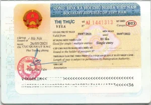 Mẫu visa đầu tư Việt Nam