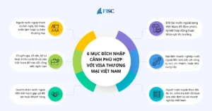 6 mục đích nhập cảnh phù hợp với visa thương mại Việt Nam