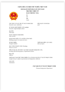 Mẫu thị thực điện tử Việt Nam