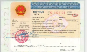 Mẫu visa doanh nghiệp Việt Nam